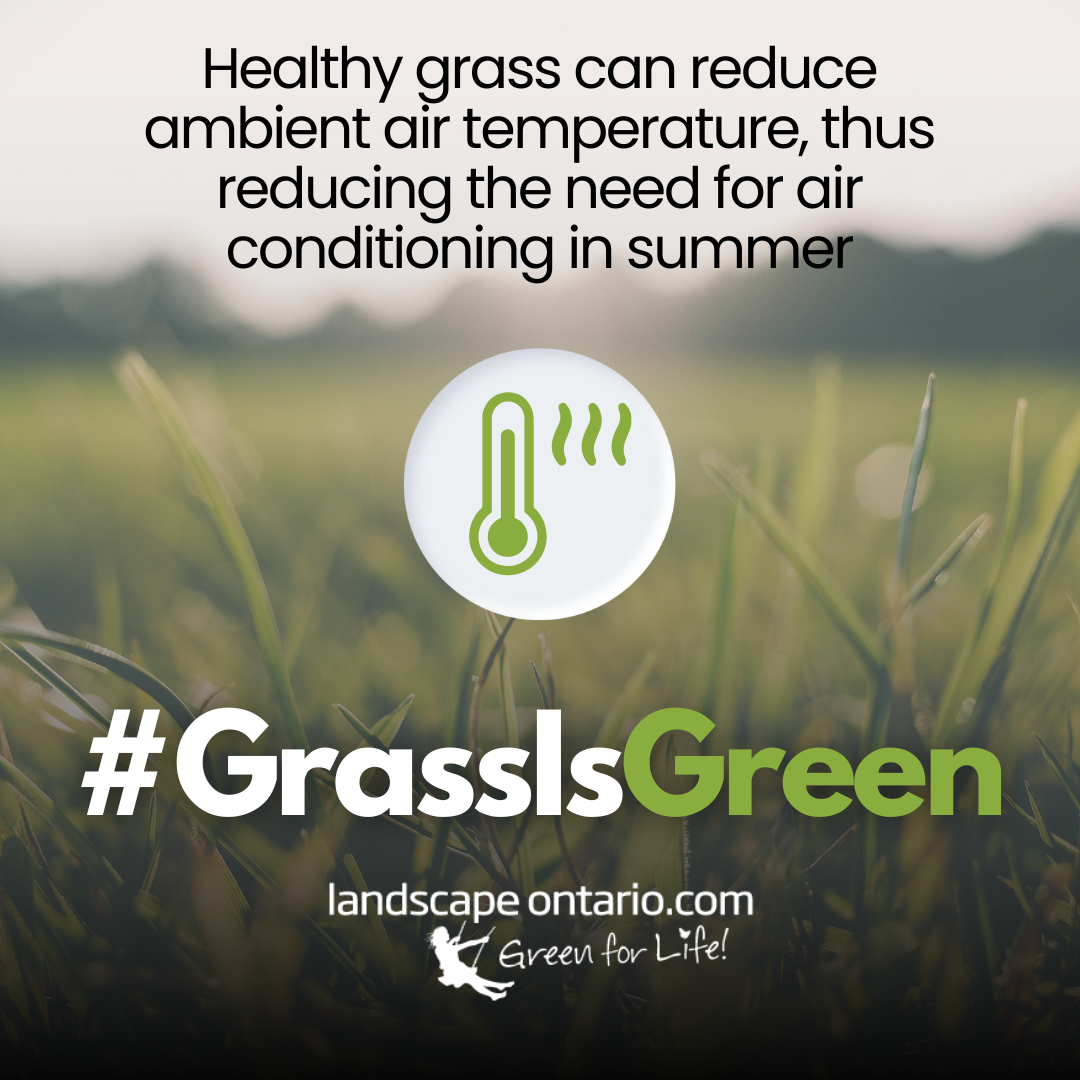 #GrassIsGreen Healthy grass can reduce ambient air temperature, the reducing the need for air conditioning in summer<br />
Landscape Ontario - green for life!
