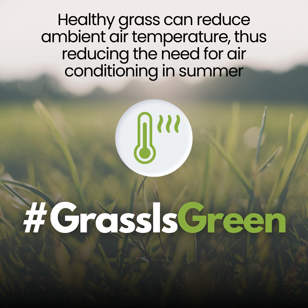 #GrassIsGreen Healthy grass can reduce ambient air temperature, the reducing the need for air conditioning in summer