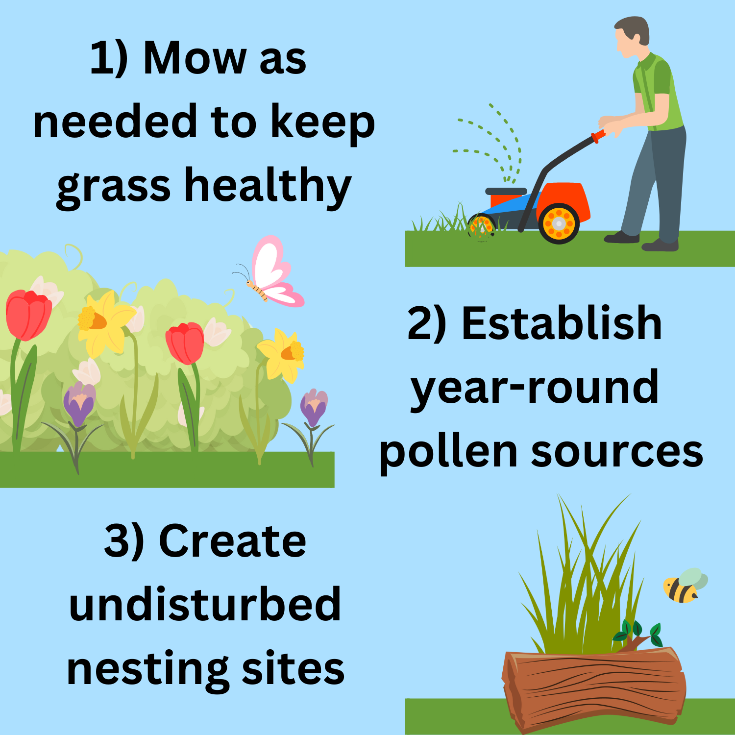 1) Mow as needed to keep grass healthy<br />
2_ Establish year-round pollen sources<br />
3) Created undisturbed nesting sites